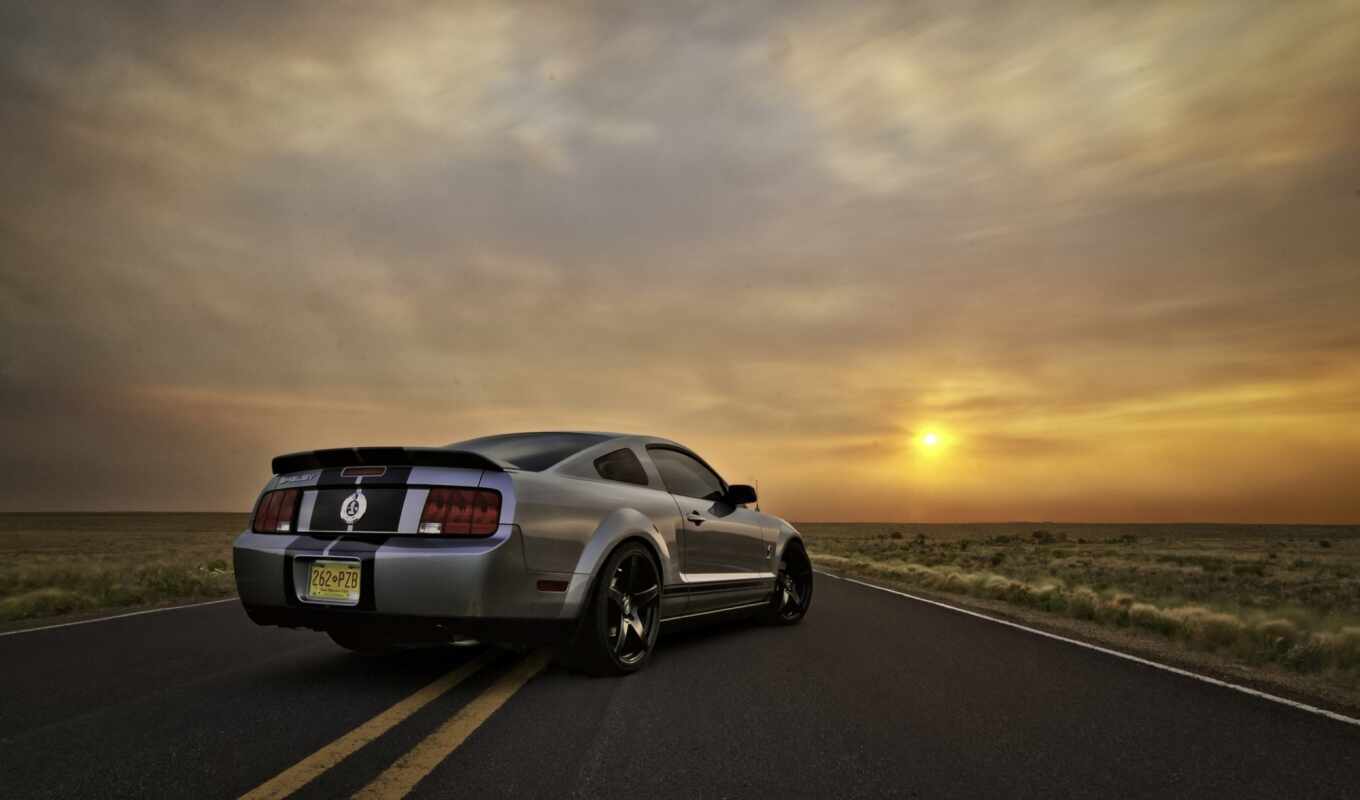 машина, car, ford, mustang, машины, shelby, muscle