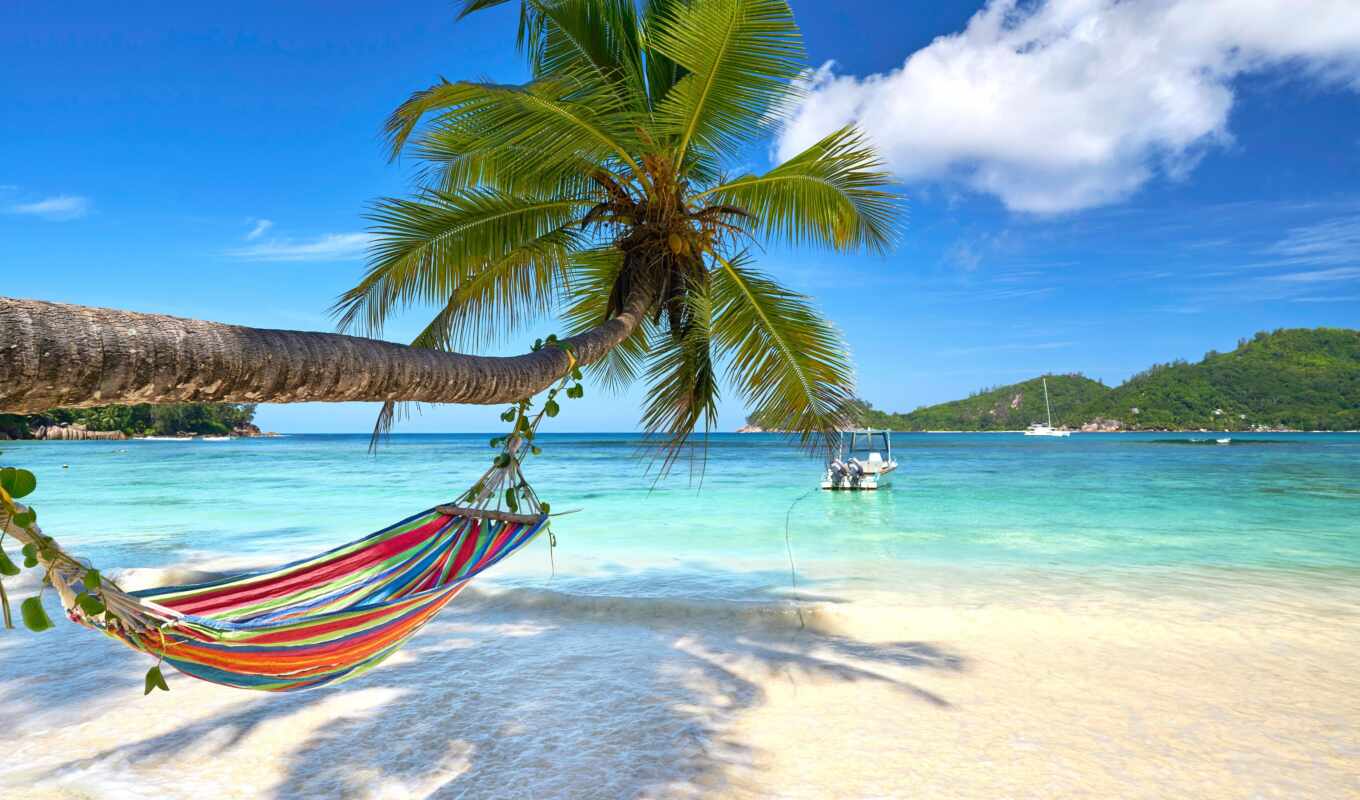 nature, summer, tree, beach, sea, island, palm, tropical, turquoise, travel, gamb
