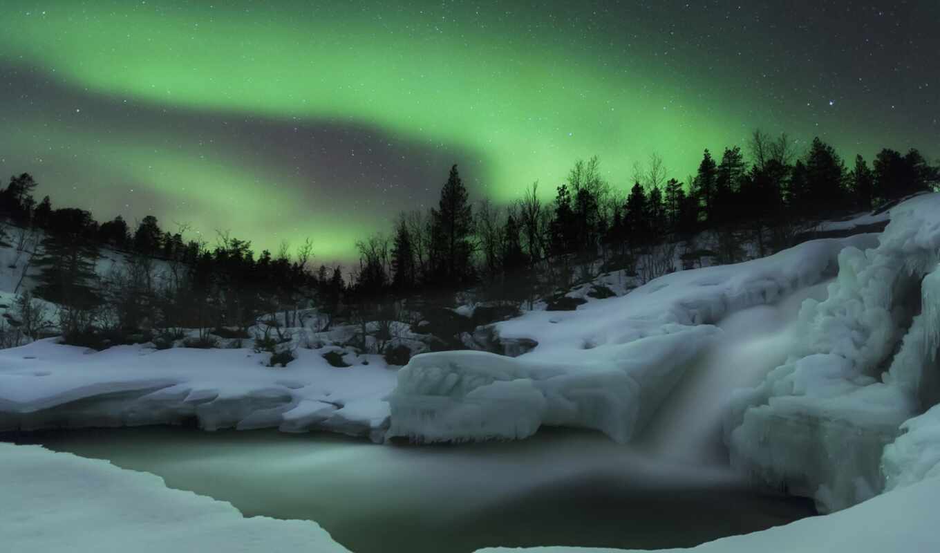 ночь, лес, aurora, borealis, сияние