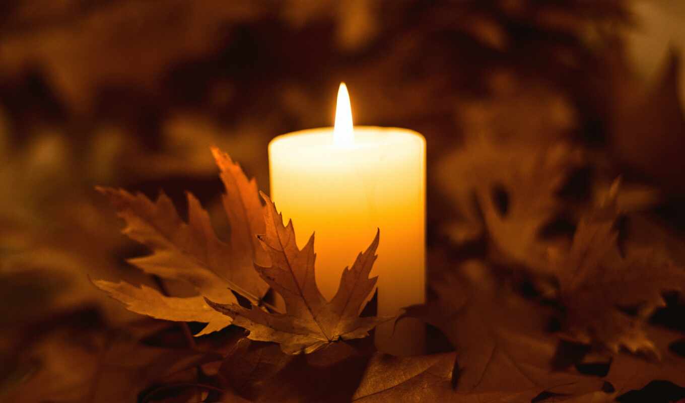 лист, огонь, осень, свеча