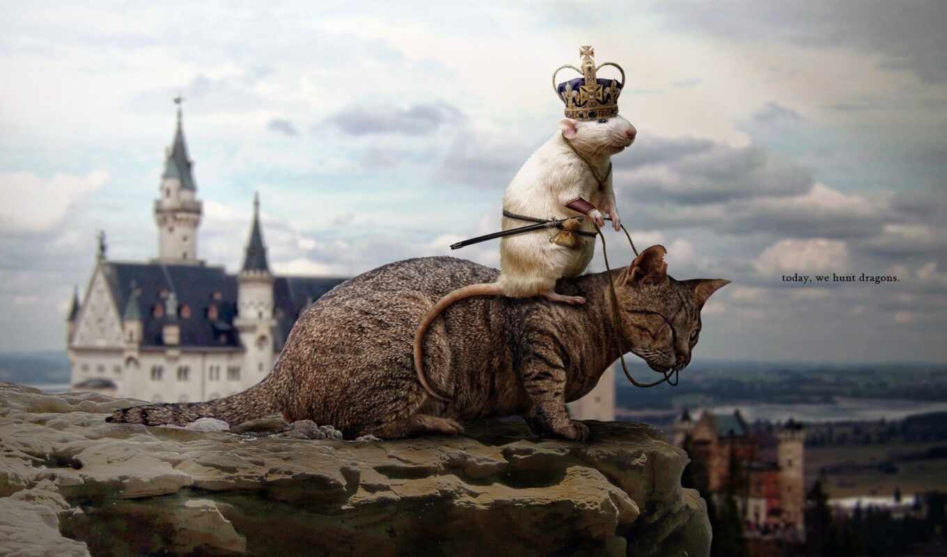 art, кот, дракон, animal, king, artwork, mouse, hunt, нойшванштайн, крыса