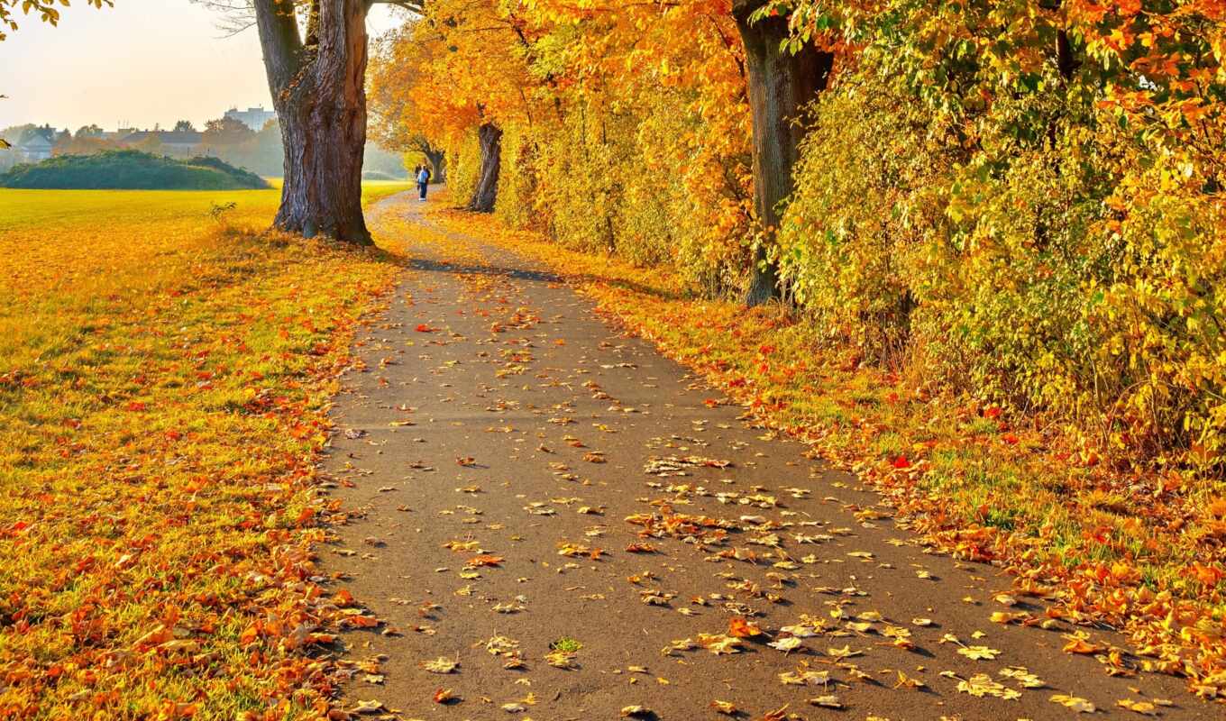 природа, дороги, добавил, осень, балла, настроение