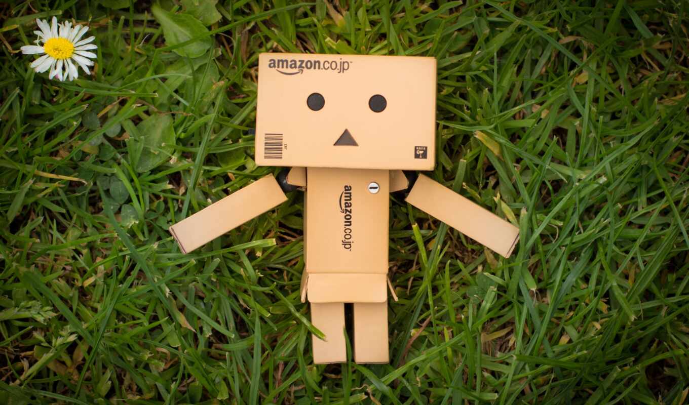 pictures, danbo