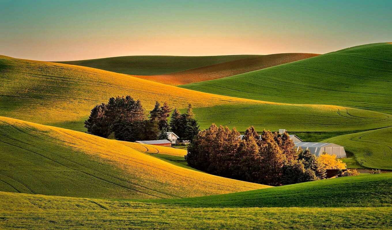 природа, поле, pic, ферма