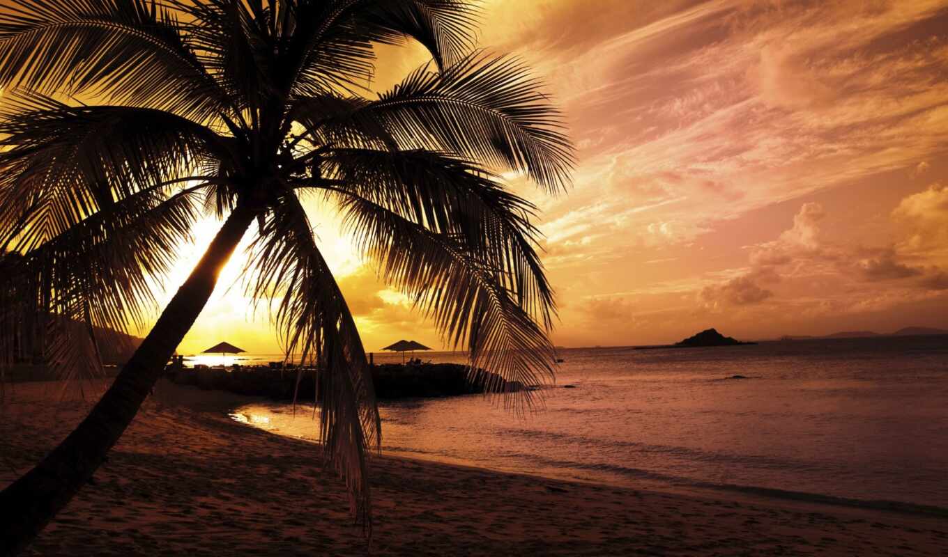 пляж, закате, закат, запросу, пальмы, результатов, море, sunsets, 