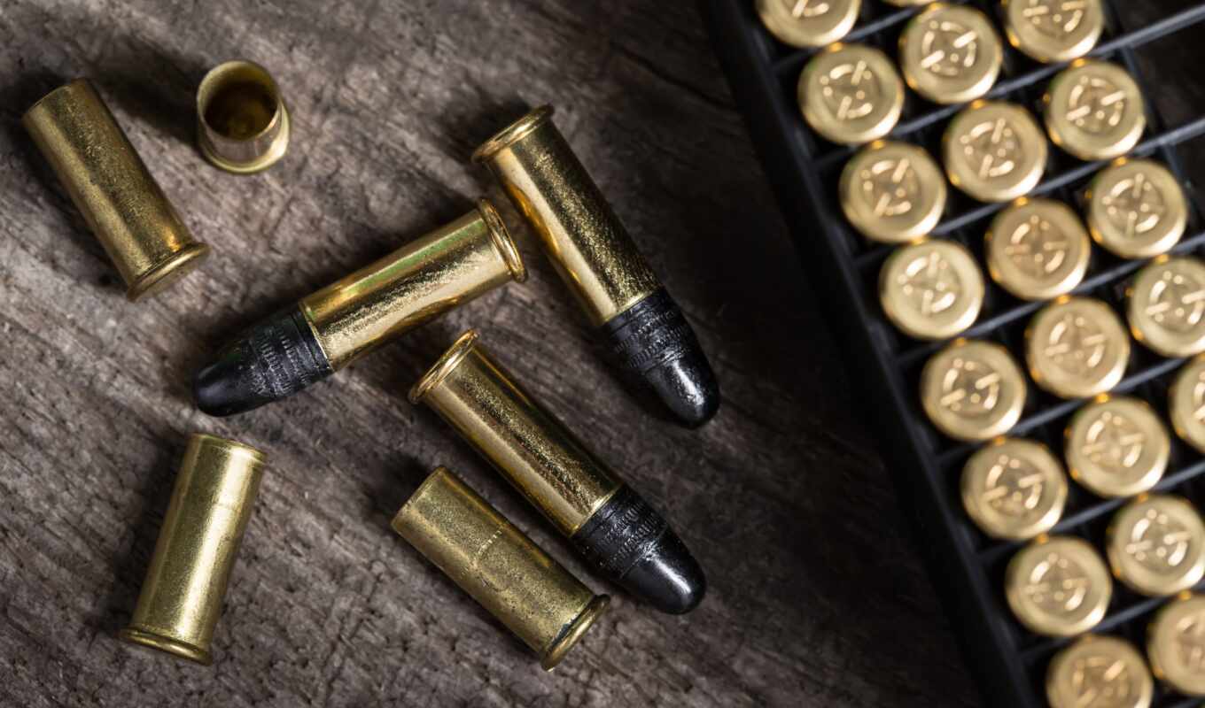 bullet, weapon, hunter, cartridge, pine, bala, laglag