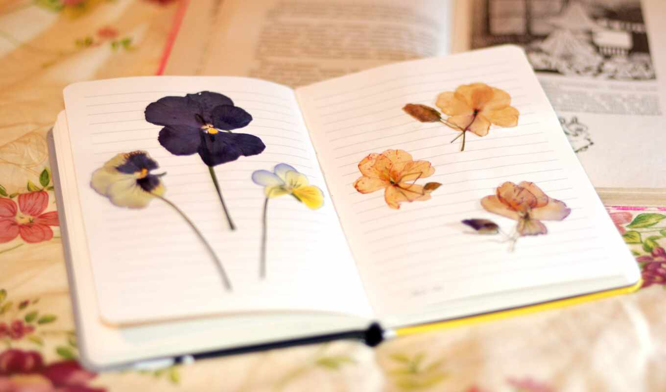 for, flor, flores, a, book, book, resenha, instantaneous