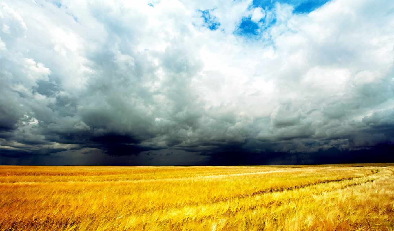 nature, the storm, field, landscape, clouds