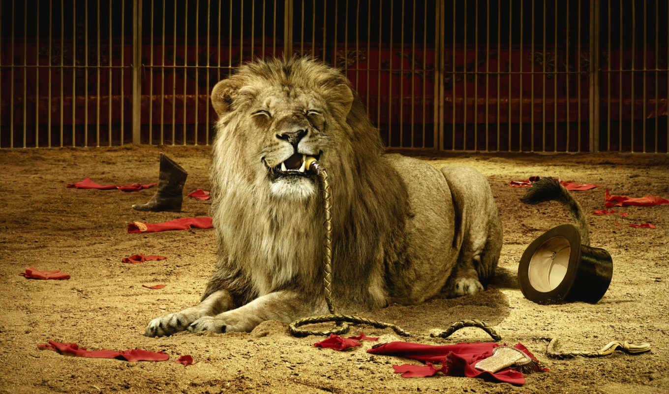 lion, april, circus, throat, eco