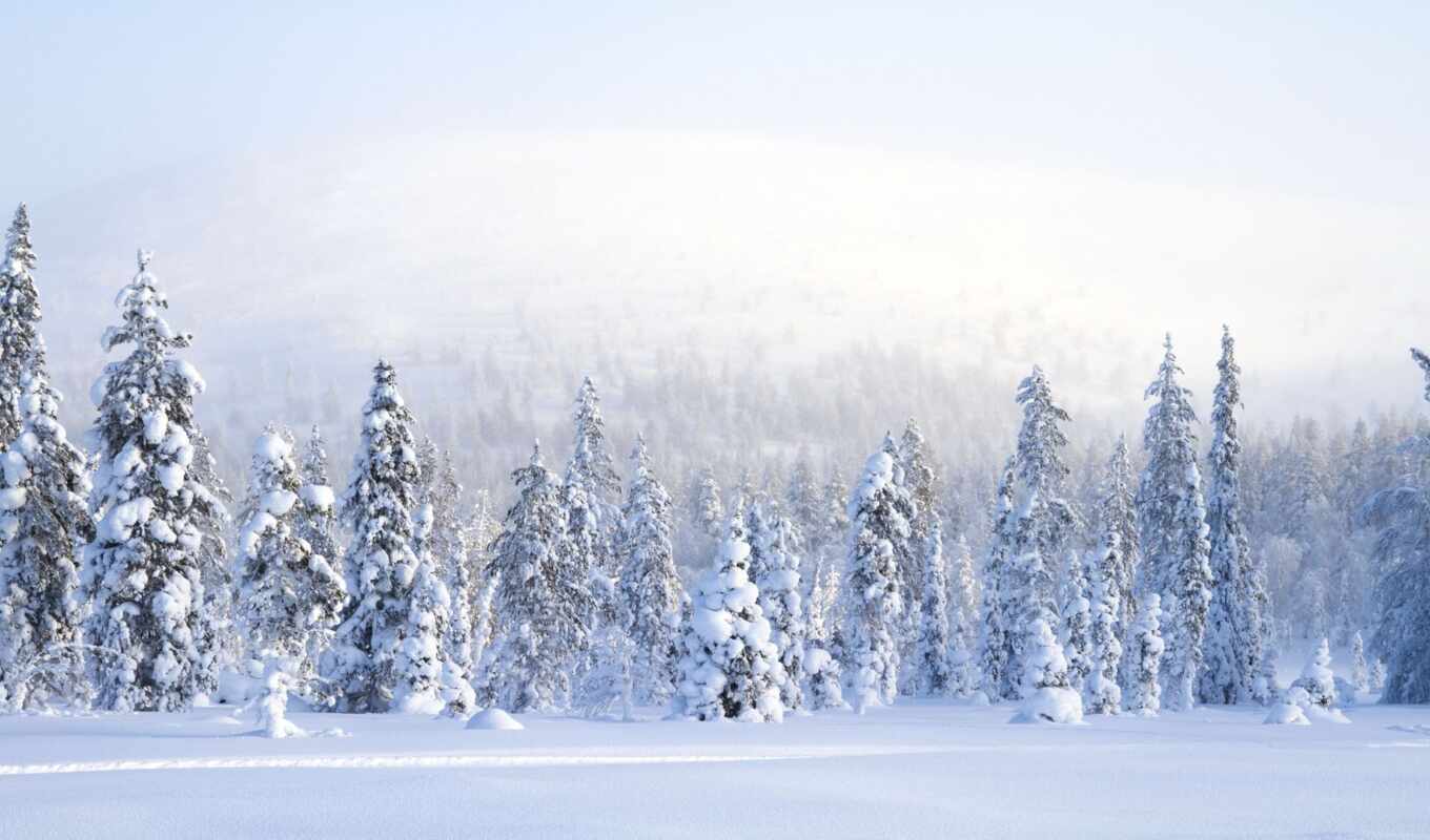 природа, design, new, fir, снег, winter, шаблон, photoshop, season, палатки, урок