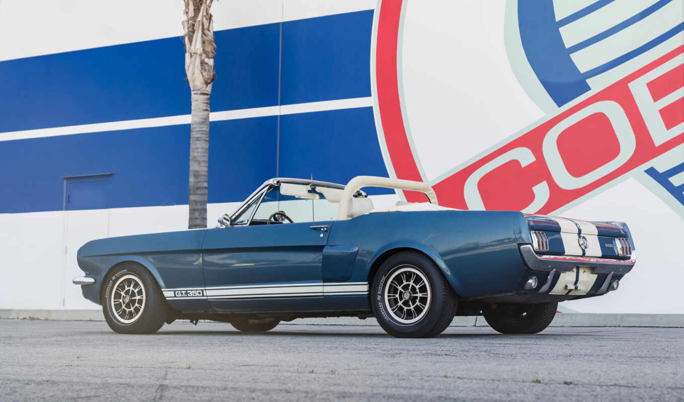 convertible, shelby