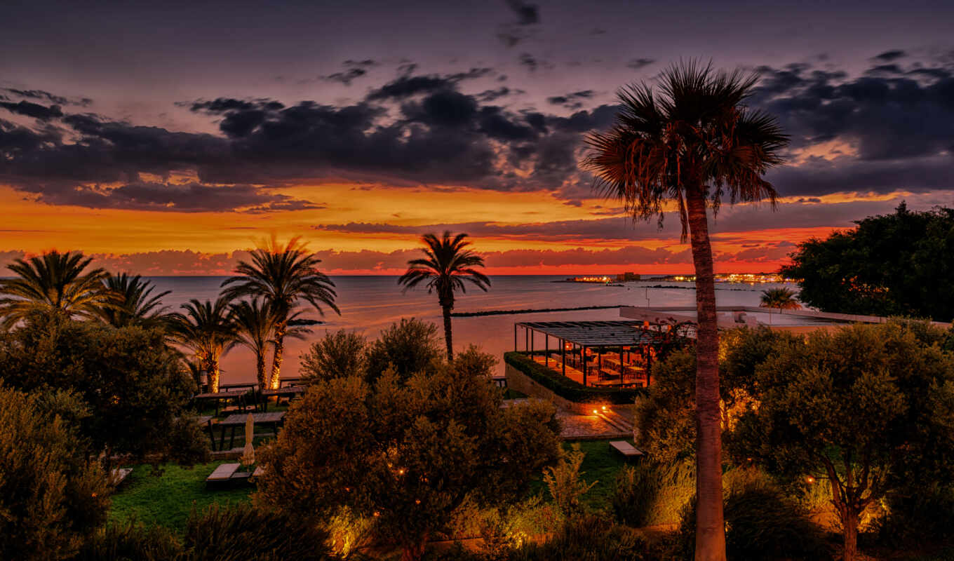 tree, sunset, evening, angeles, sea, resort, palm, Cyprus
