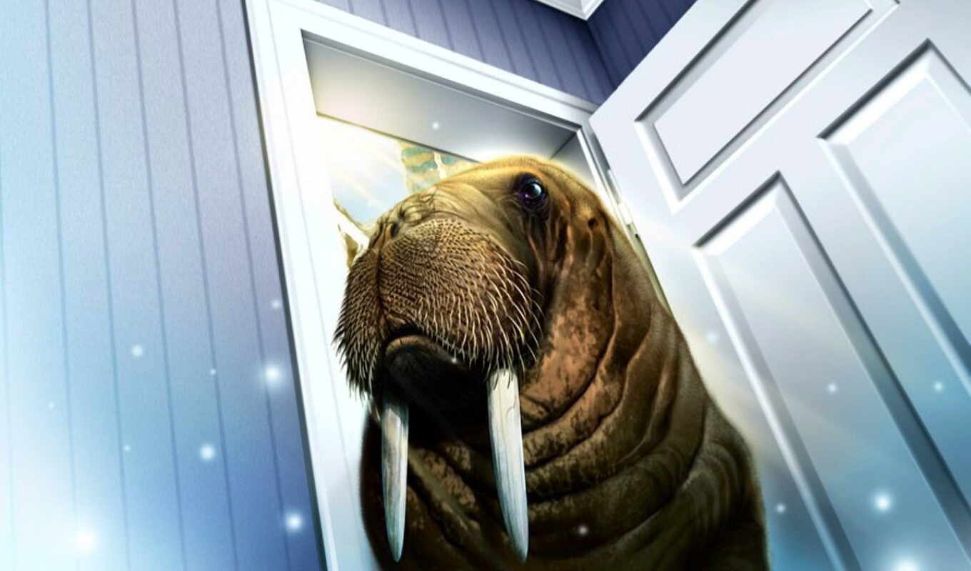 комната, дверь, walrus