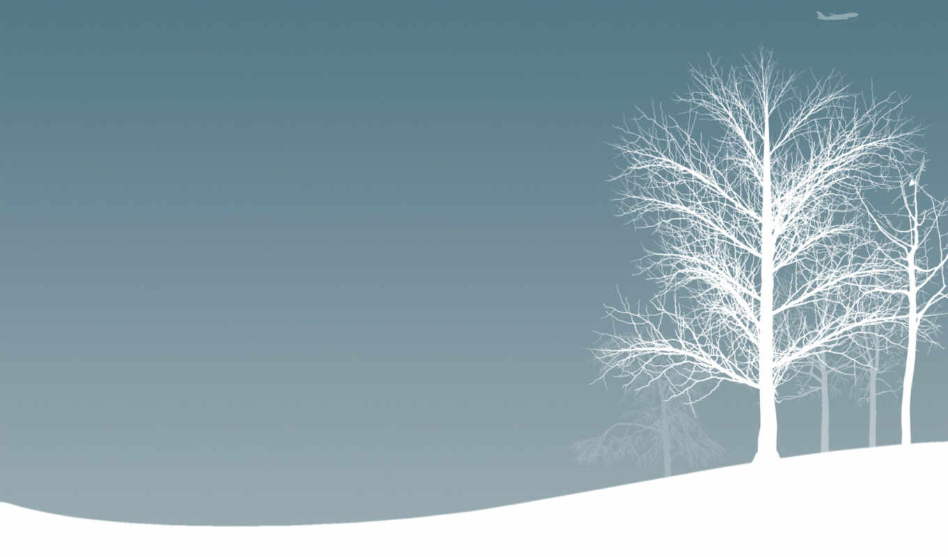 деревья, картинка, авиация, самолеты, снег, зима, настроение, зимние