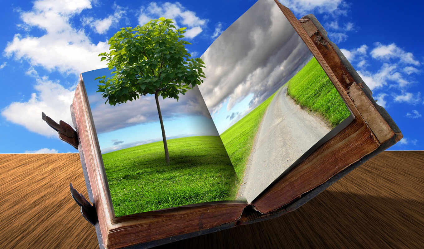 книга, креатив, столе, дерево, трава, банка, дорога, открытая, oblaka, зданиями