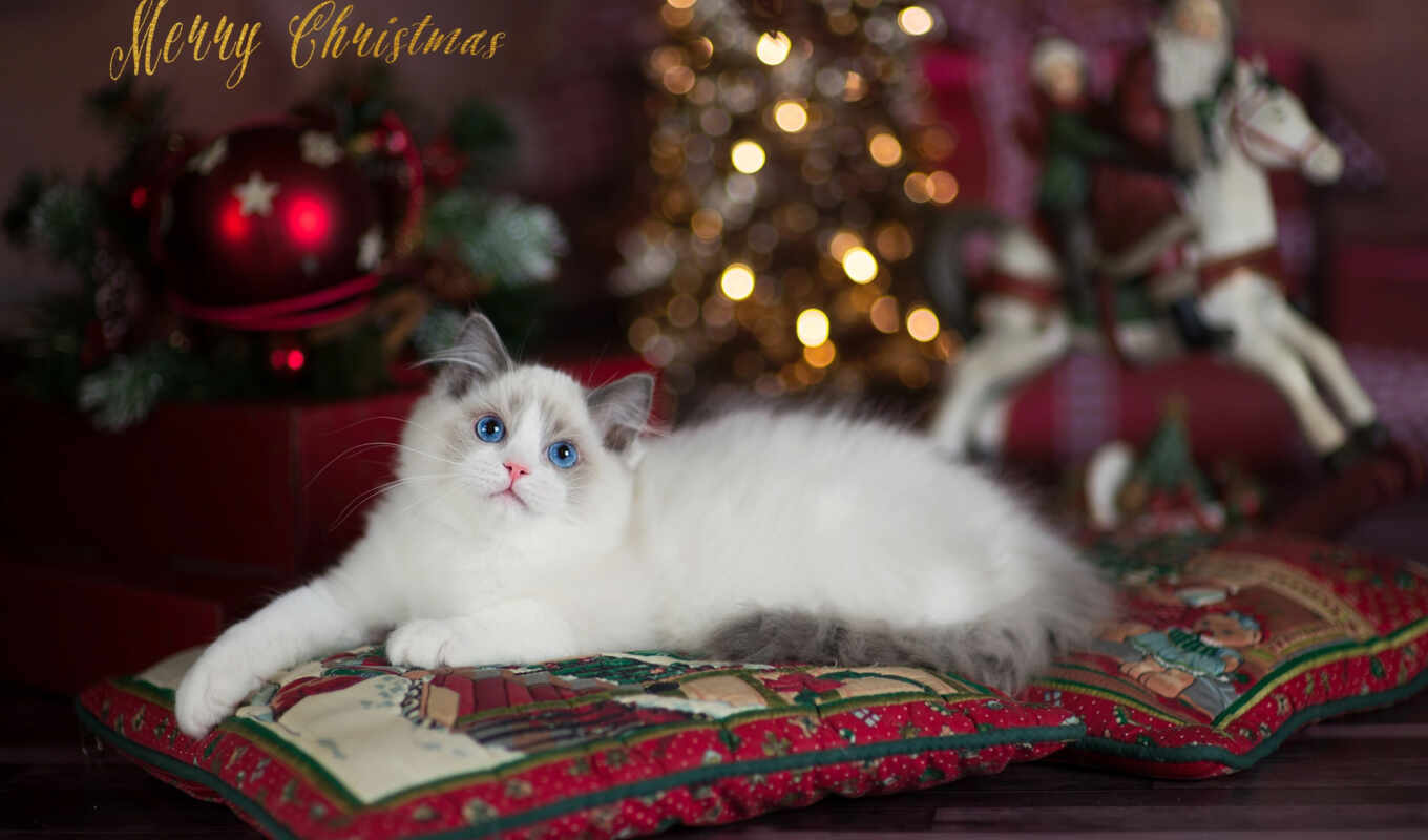 ornament, new, cat, lights, christmas, side, holiday, pillow, Christmas tree, lapul