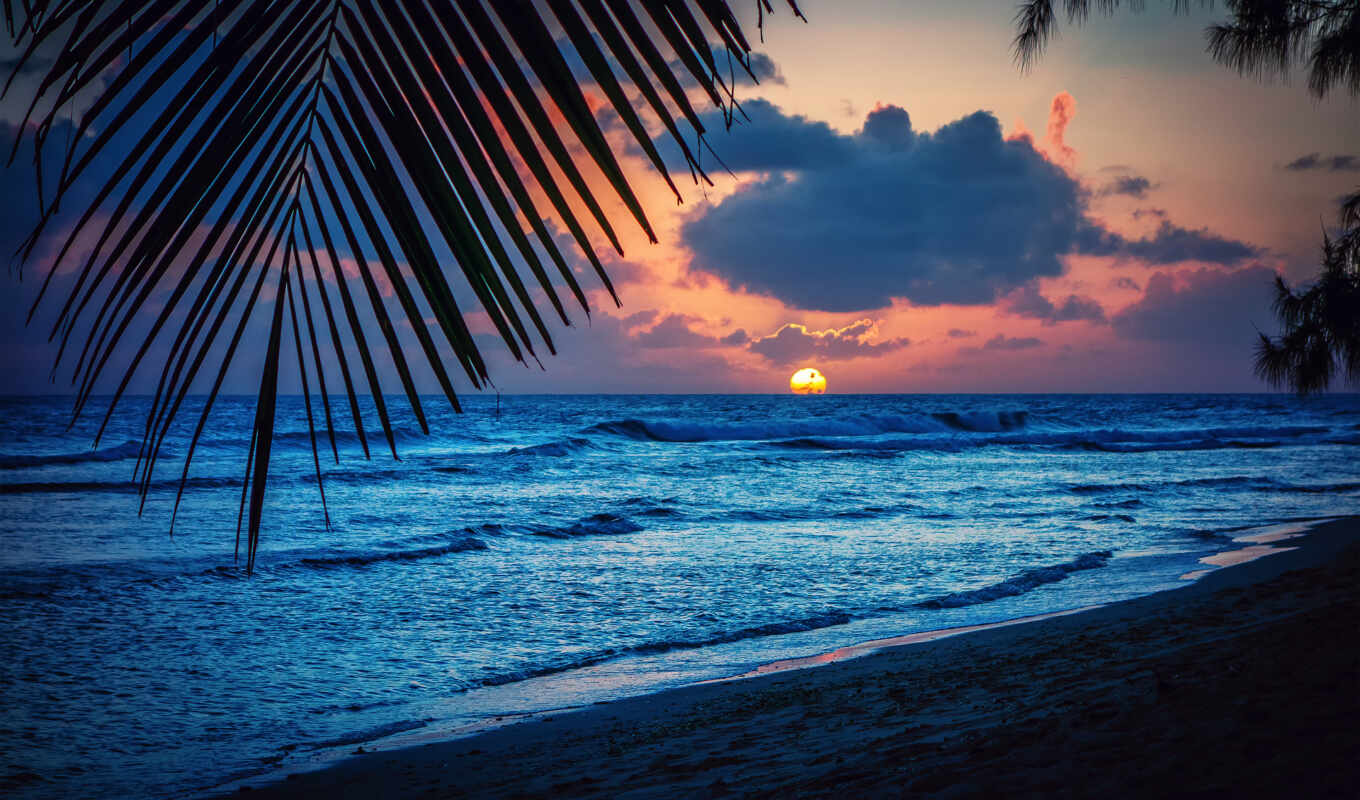 nature, sky, sun, sunset, beach, landscape, caribbean, sea, marine, beautiful, palm