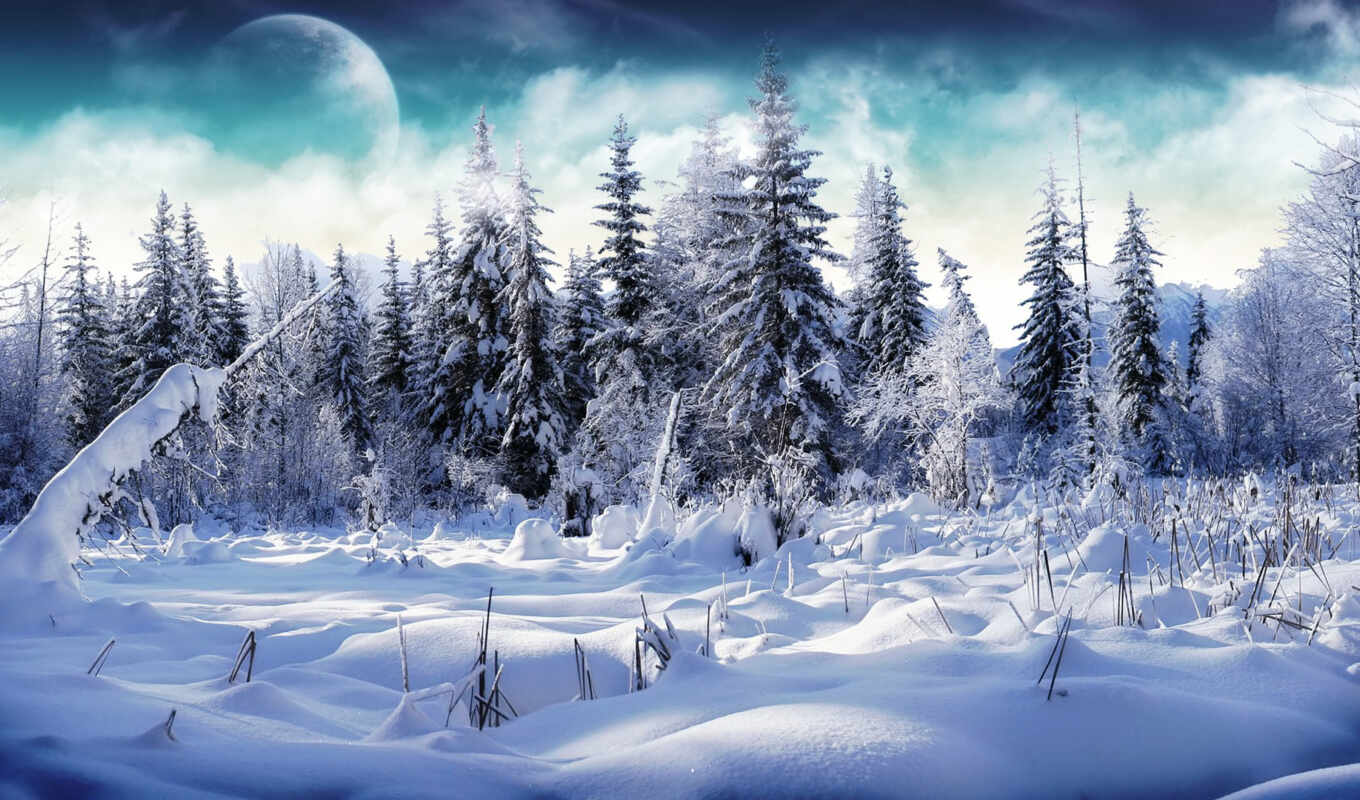 природа, снег, winter, landscape