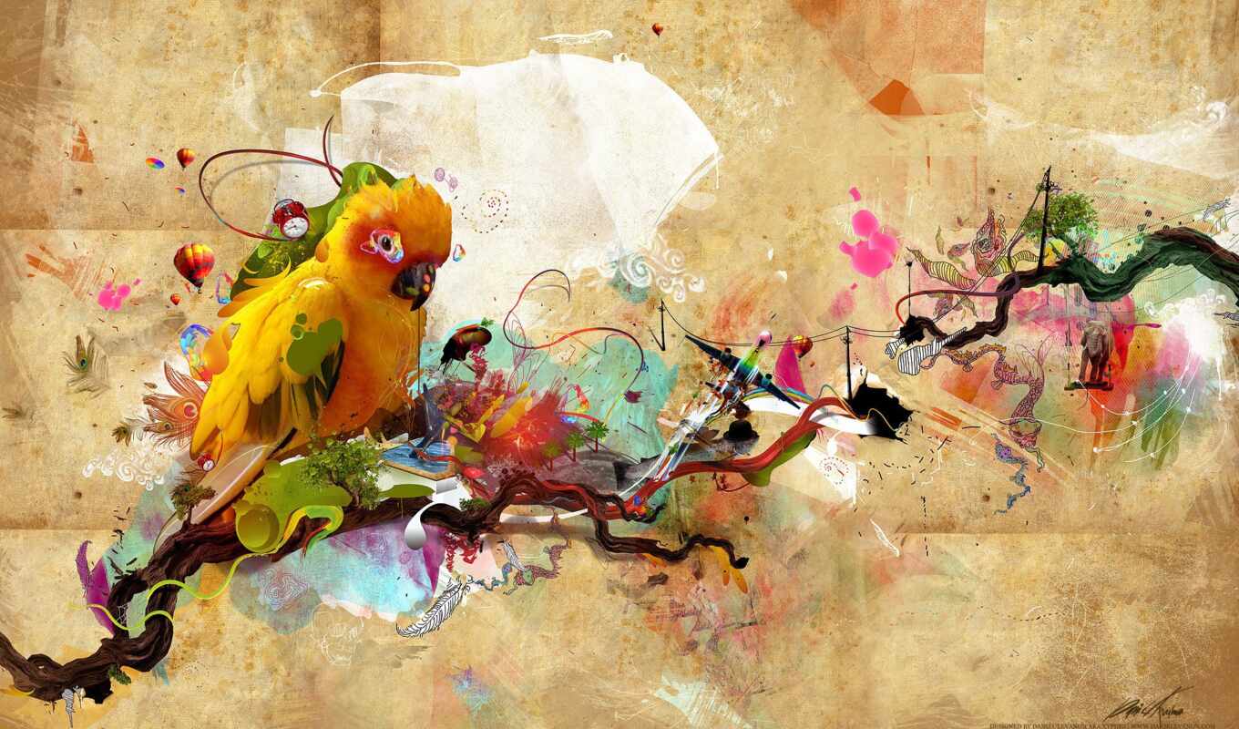 art, background, colorful, paint, top, bird, a parrot, animal, paradise, artistic, pxfuelpage