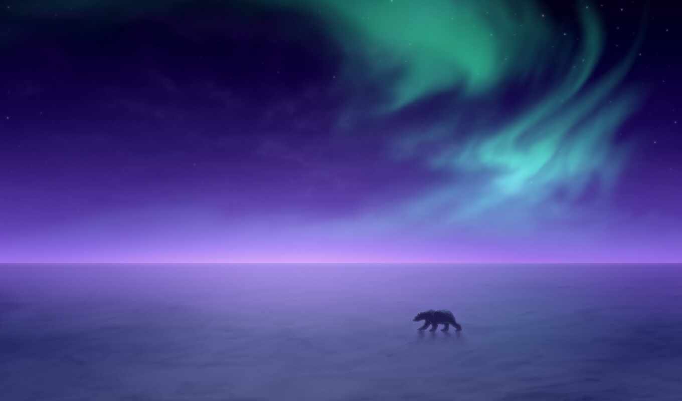 небо, mobile, ночь, огни, медведь, north, aurora, polar, northern, pole, borealis