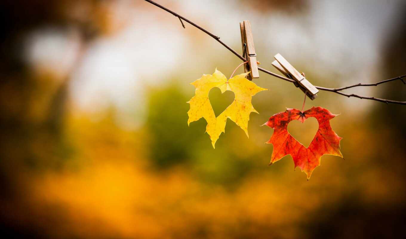 nature, collection, love, hearts, already, autumn, the best, uploaded