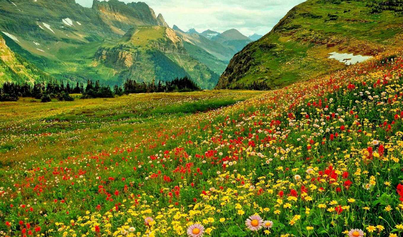 flowers, you, mountain, clipart