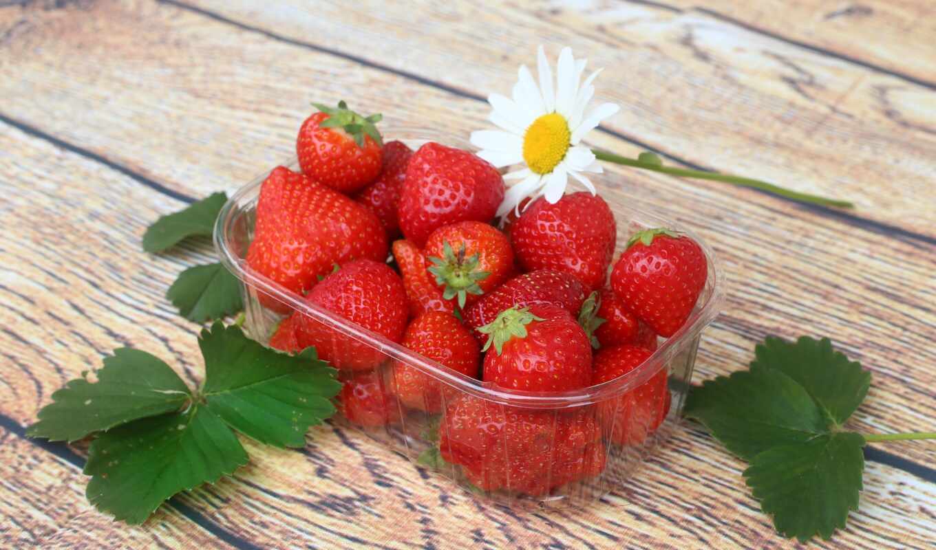photo, the bowl, fresh, strawberry, berry, piqselsroyalty