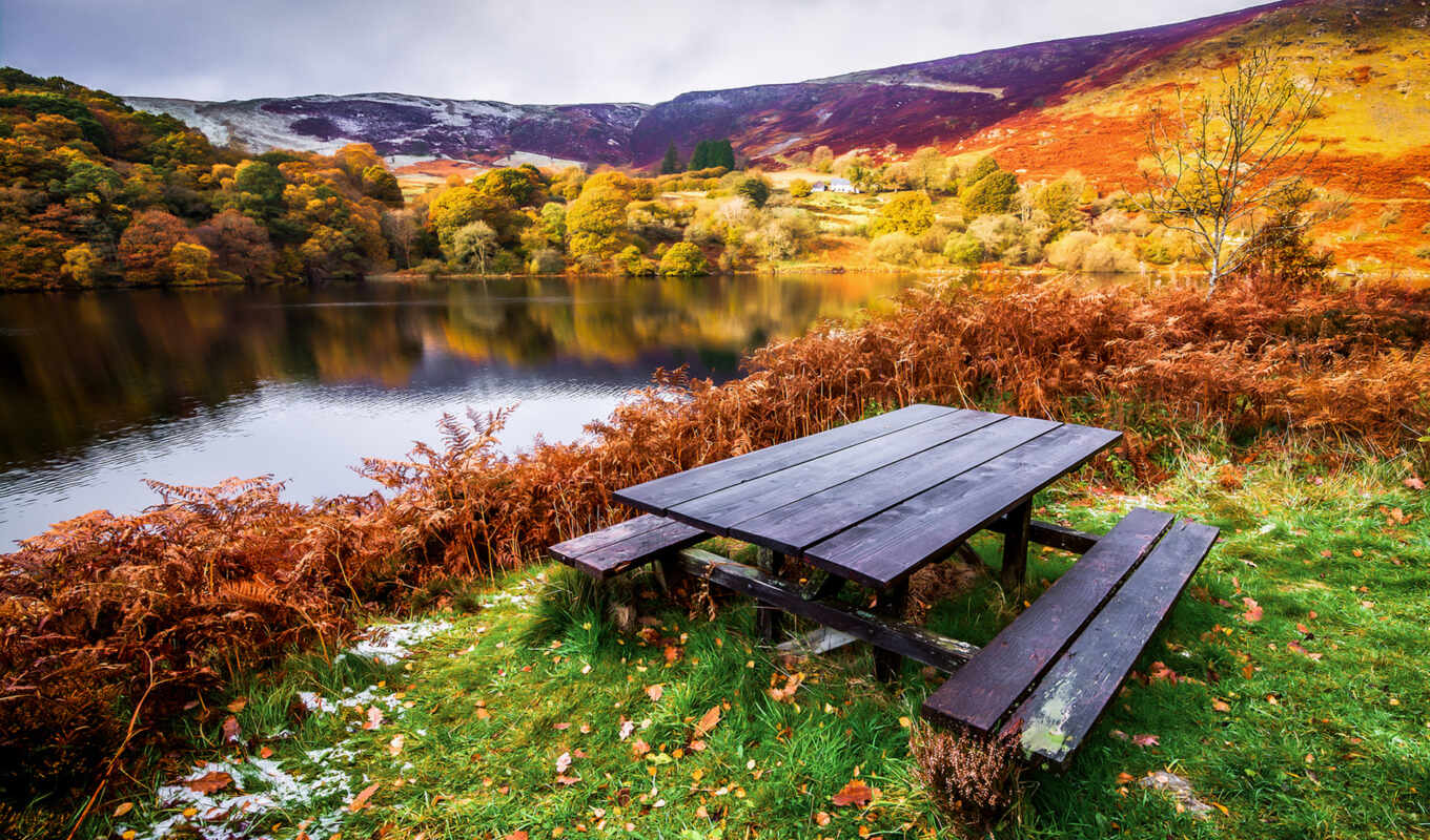 lake, nature, tree, landscape, autumn, table, bench, picnic