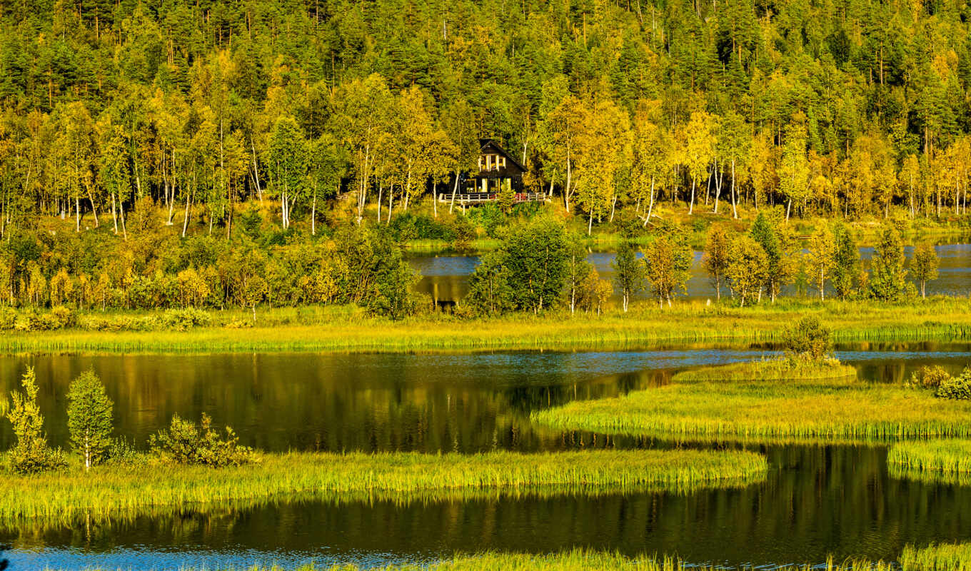 озеро, природа, house, лес, lodge, река, trees, норвегия, norwegian, горы, холмы