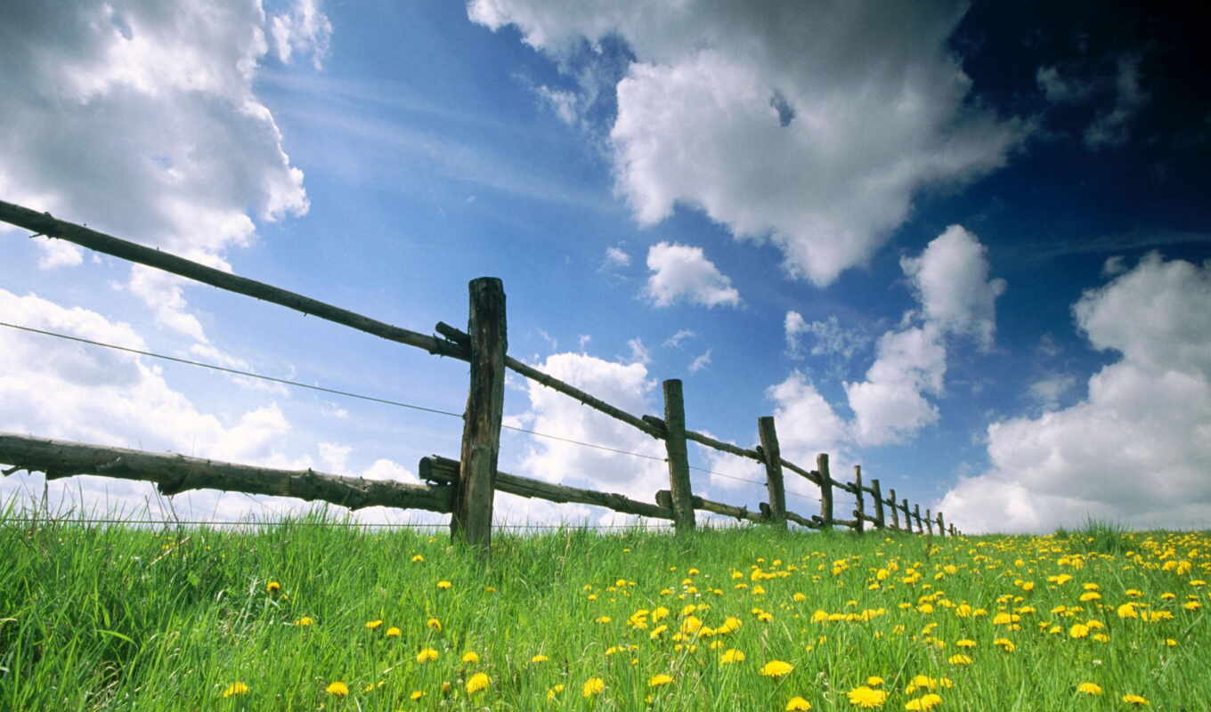 background, for, spring, screen, sky, fund, field