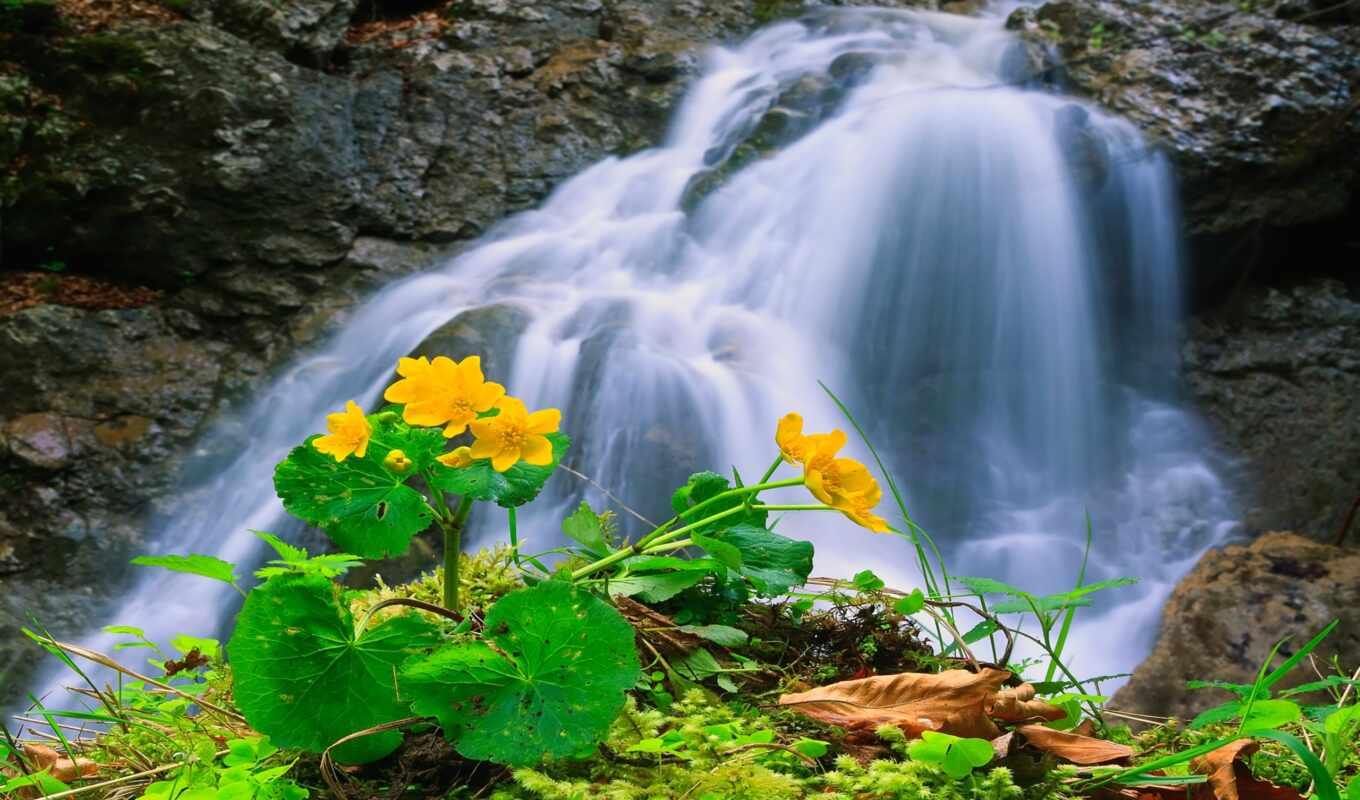 nature, desktop, picture, grass, flowers, waterfall, waterfalls, crag