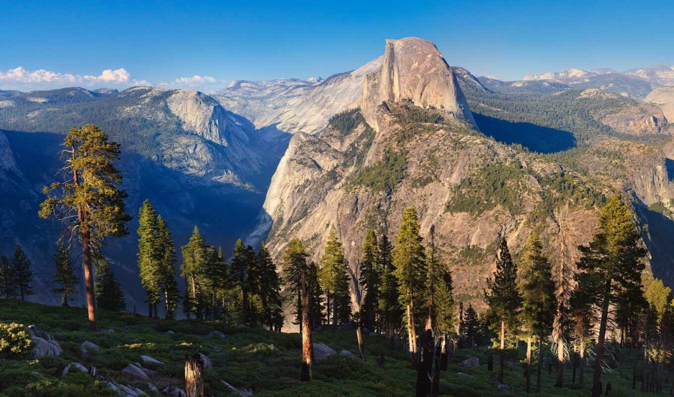 nature, morning, park, national, the alps, half, pine trees, yosemite, dome, mountains