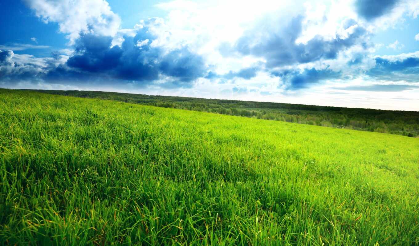 небо, зелёный, трава, поле, зелёная, сол, горизонт, зеленое, пасмурный, густая
