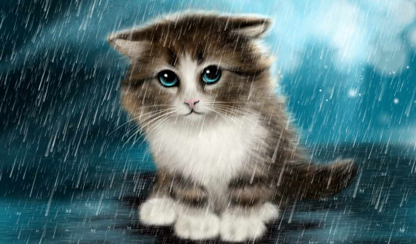 дождь, кот, котенок, грустный, drawing