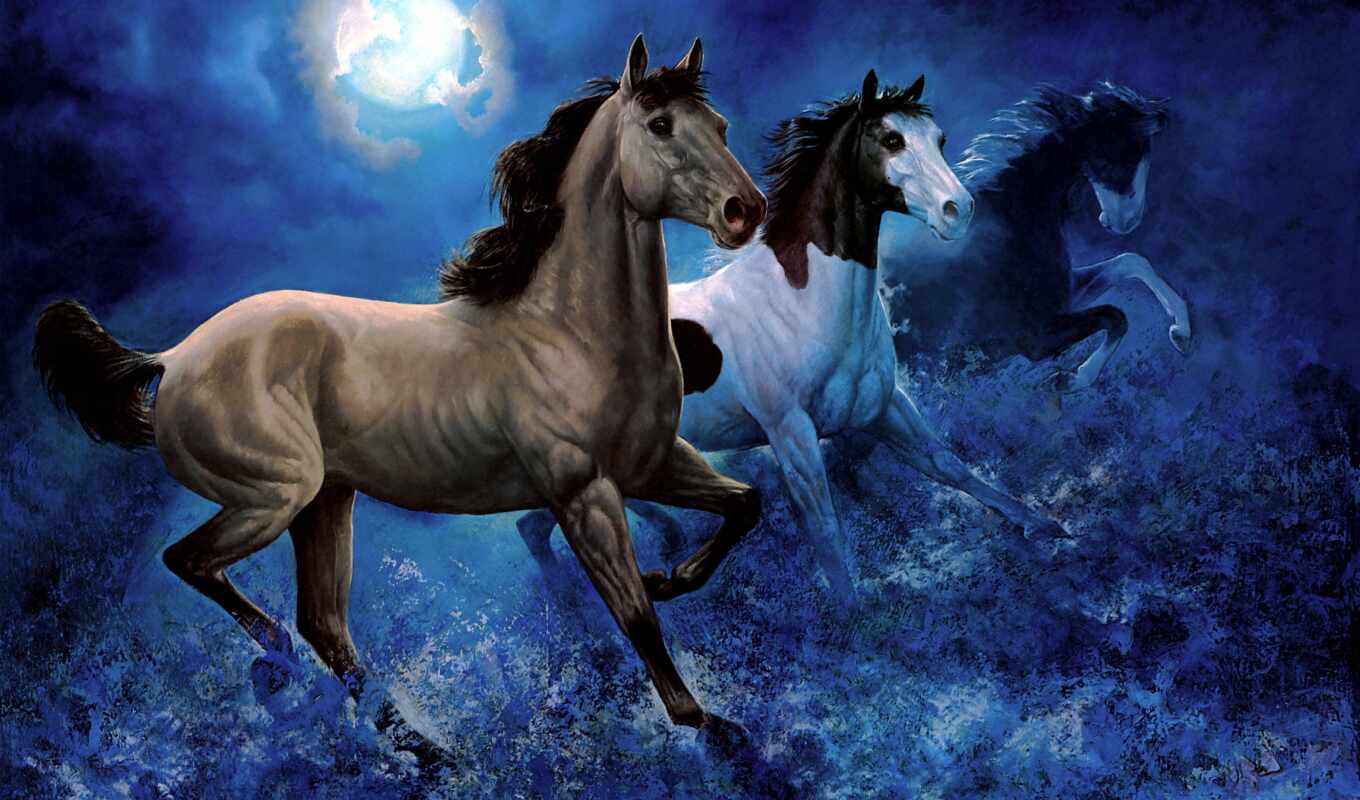 horse, night