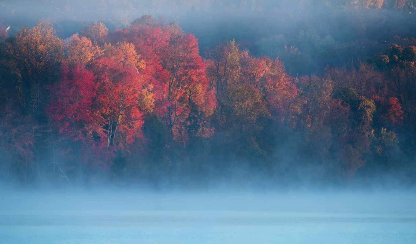 природа, art, дерево, осень, листва, пасть, утро, line, река, туман, hazy