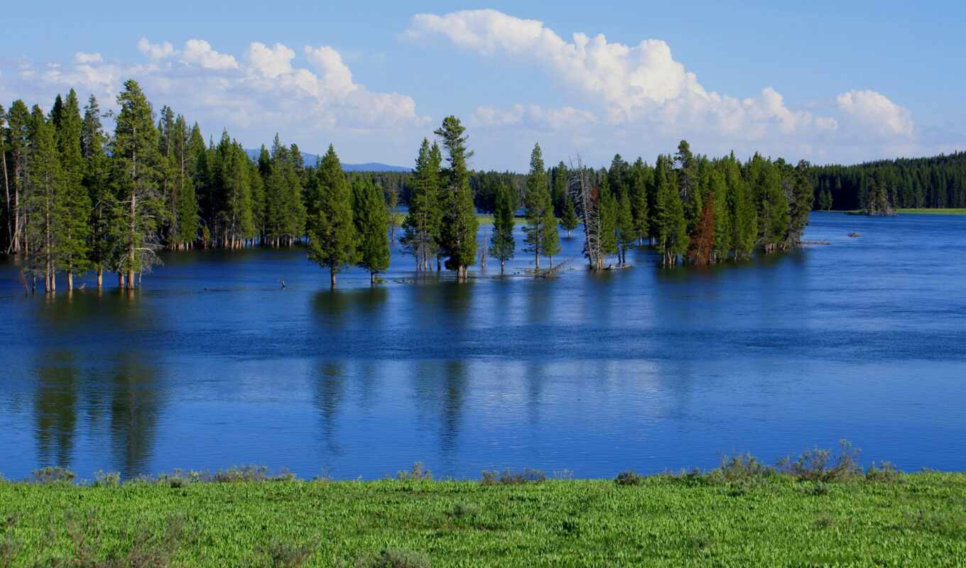 lake, tree, forest, Russia, screensavers