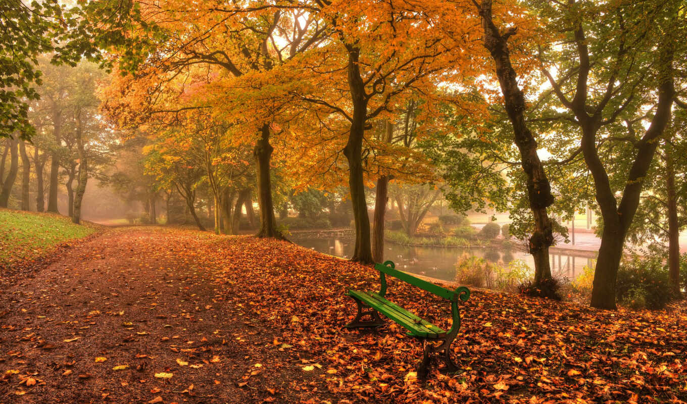 природа, осень, листва, скамейка, парке, листочки