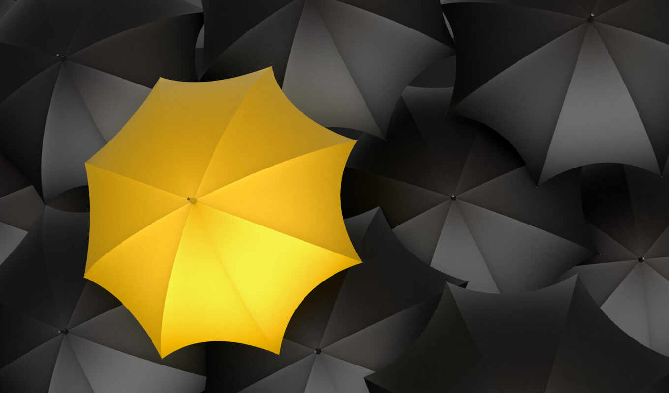 umbrellas, buy, ukraine, prices, taxi, different, yellow, different, umbrella, order, photo wallpapers