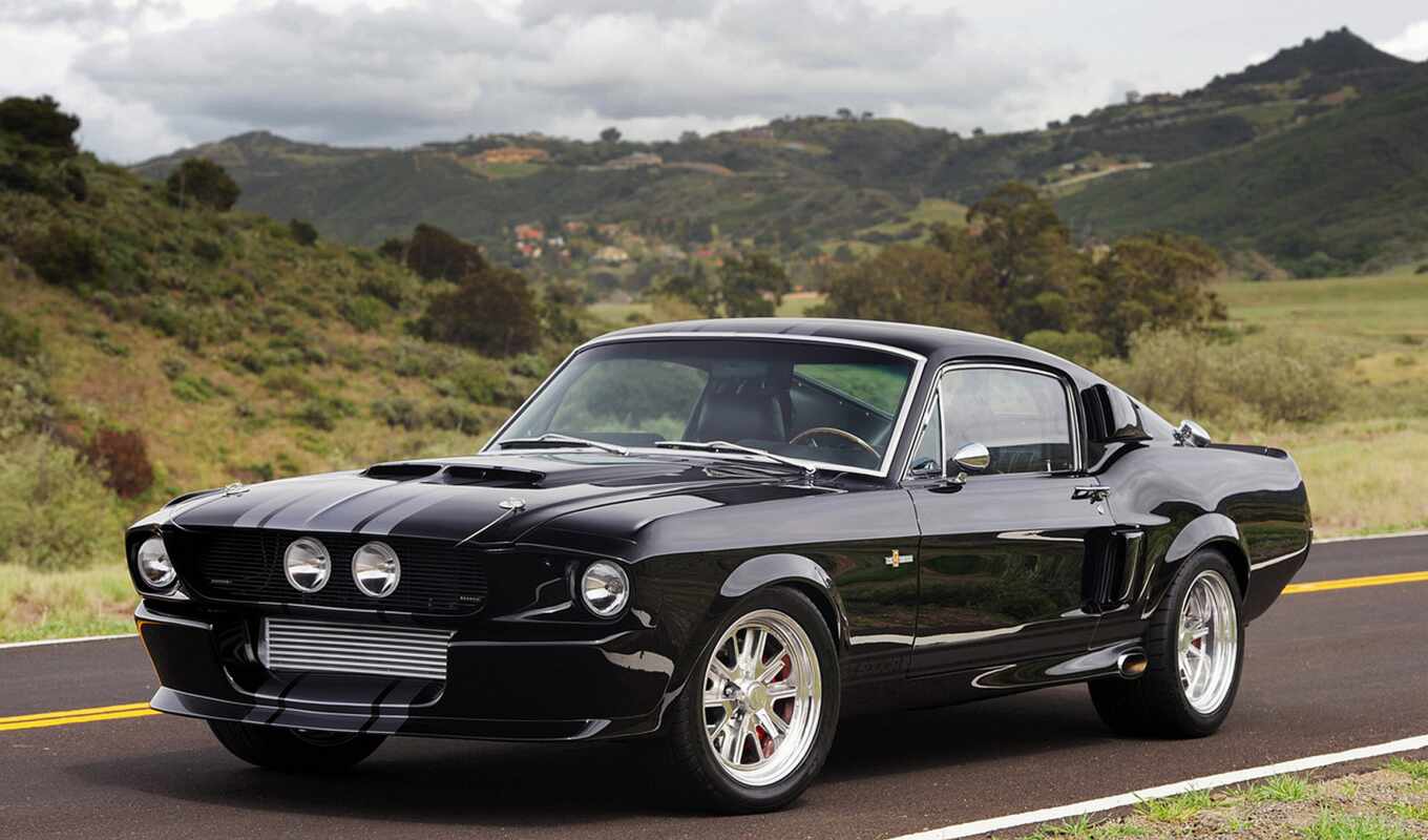 mustang, shelby, gt500