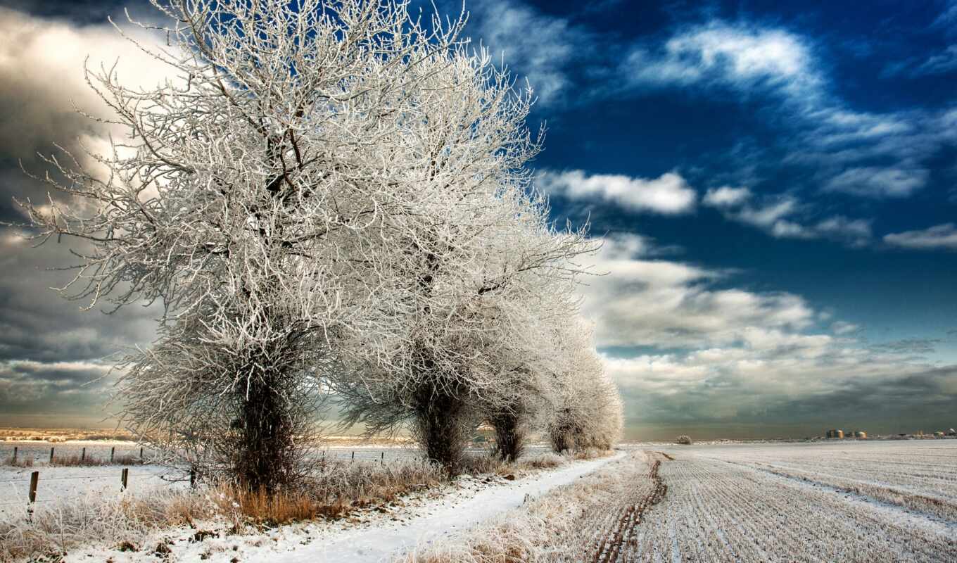 природа, desktop, free, фон, снег, winter, дорога, trees