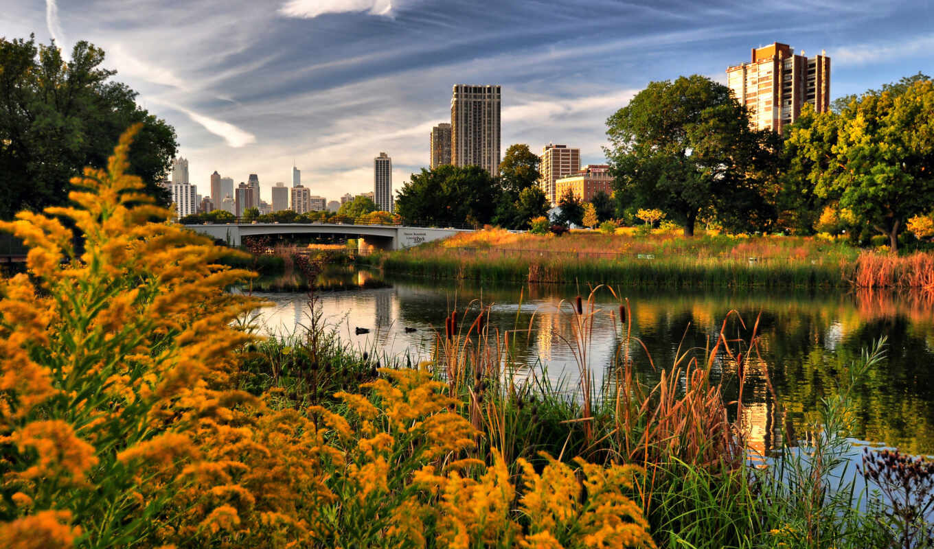 nature, city, landscape, autumn, river, chicago