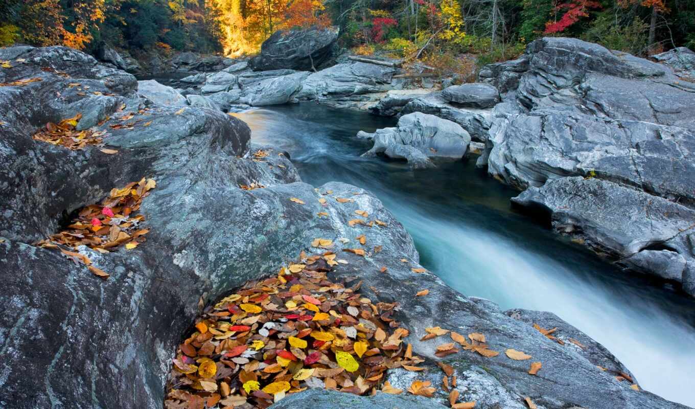 камни, осень, река