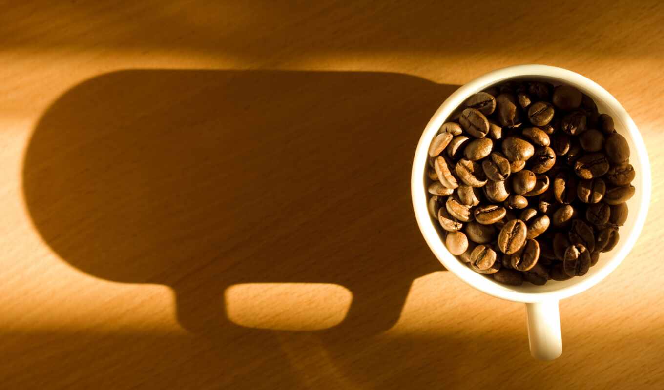 coffee, свет, jordan, one, столик, cup, seed, кафе, row, amman