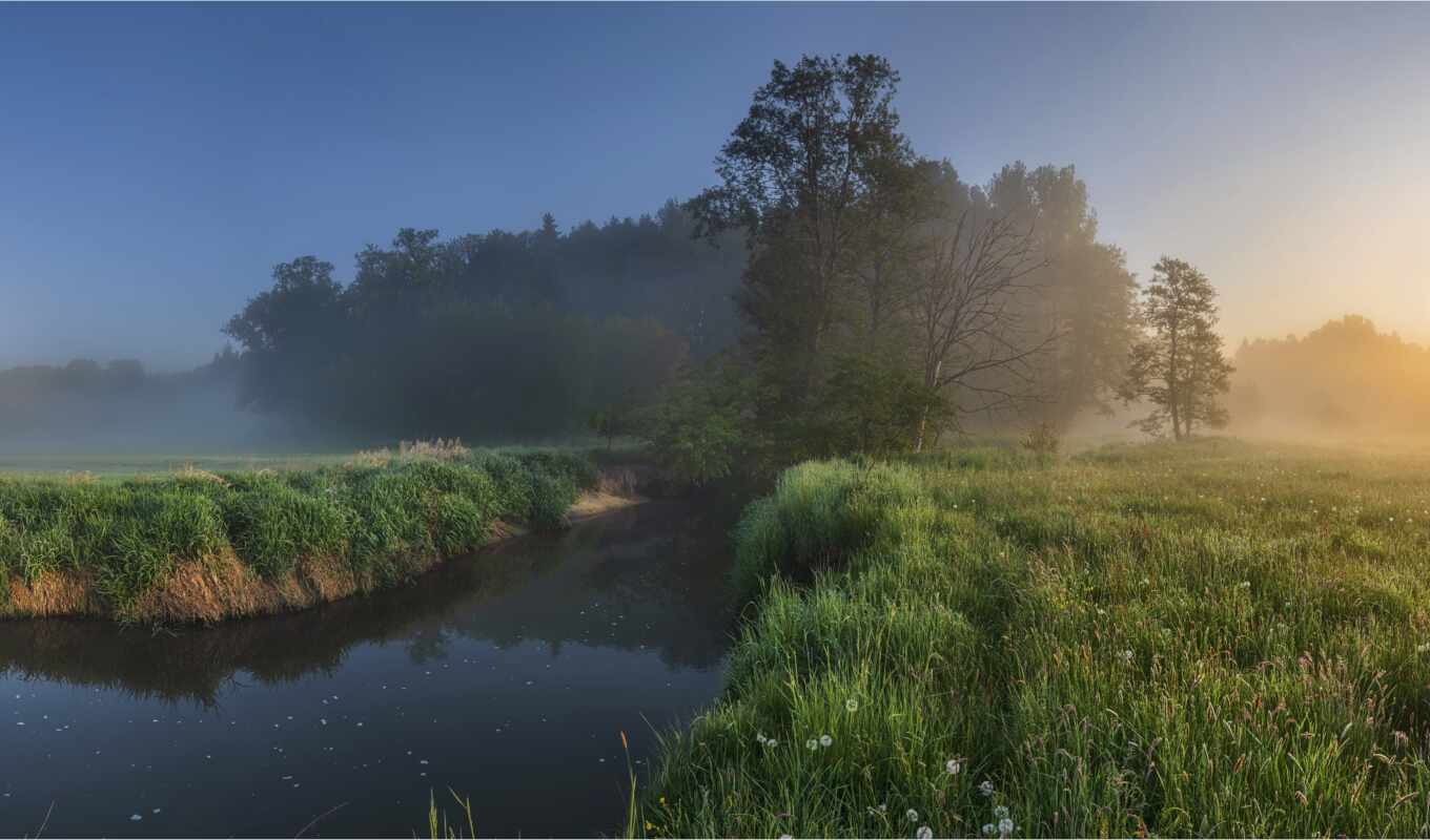 Реки леса океаны леса и поля. Утро туман. Туман фото. Тонкая река поле туман. Обои рассвет с туманом на телефон.