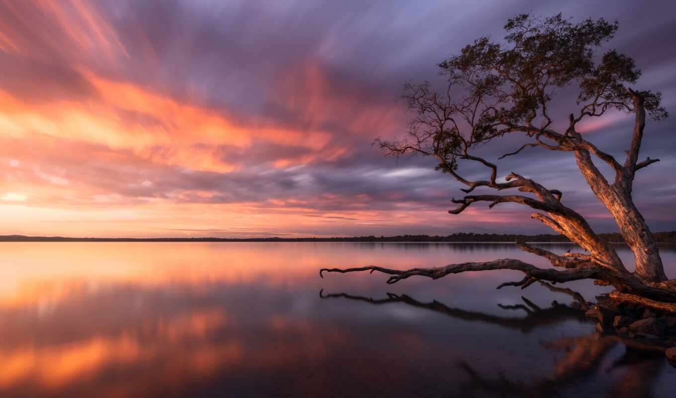 озеро, дерево, закат, рассвет, австралия, random, color, muito, sem