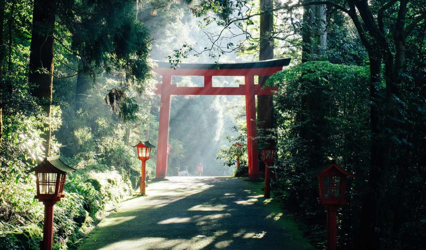 light, mini, gate, Japan, parallax, lifestyle