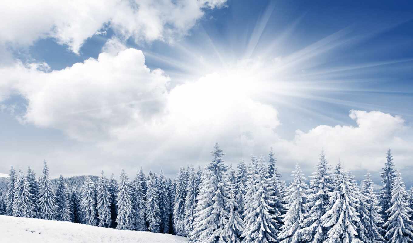 nature, sky, sun, snow, winter, trees, in winter