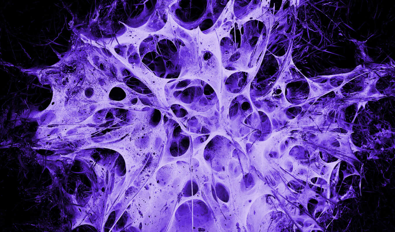 picture, web, purple, alien, nest