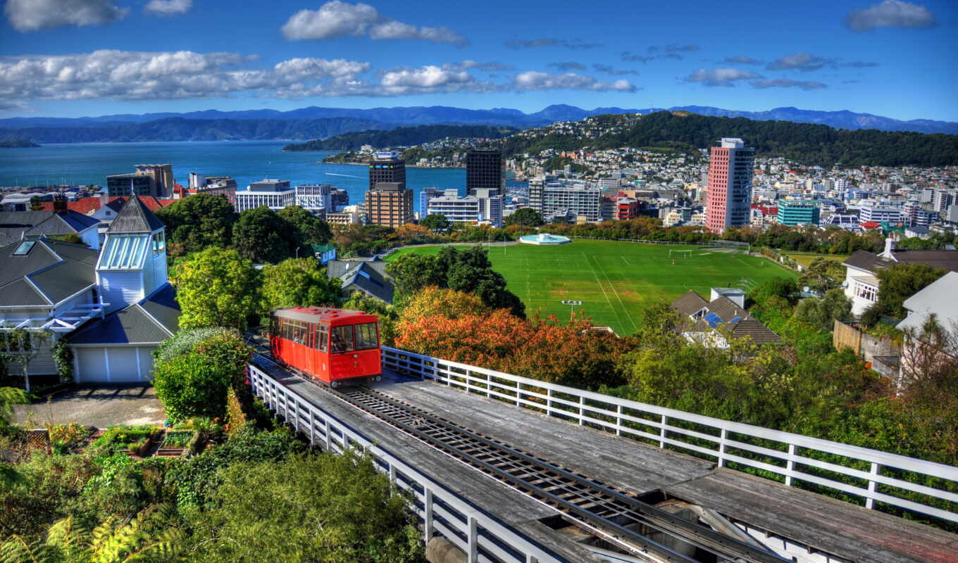 picture, new, city, cities, new, zealand, panorama, wellington